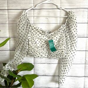 NWT mesh polka dot crop top large